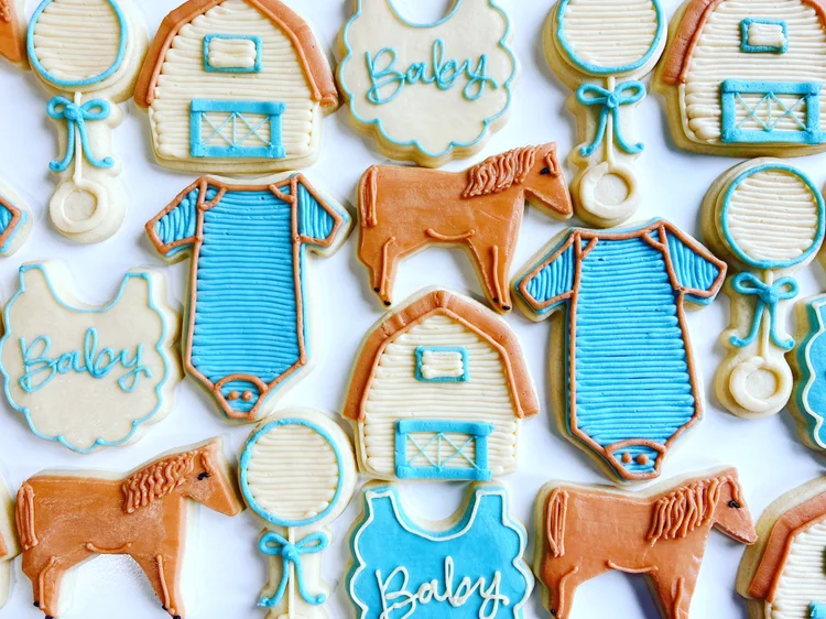 Horse baby shower